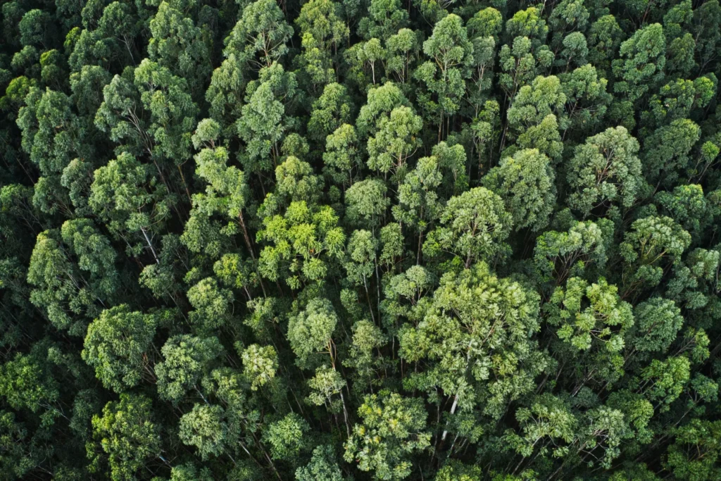 Услуги ESG Устойчивост на хотел